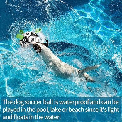 BounceBuddy™ Dog Football Toy