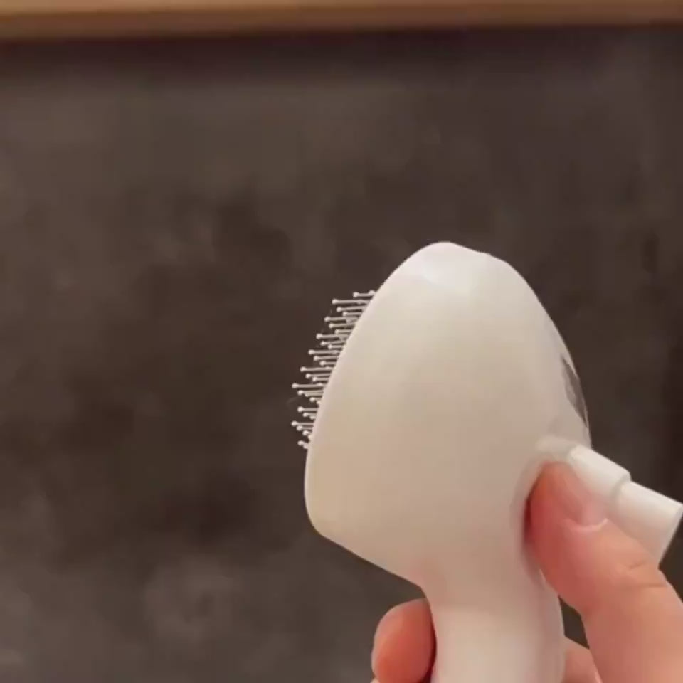 Load video: 1